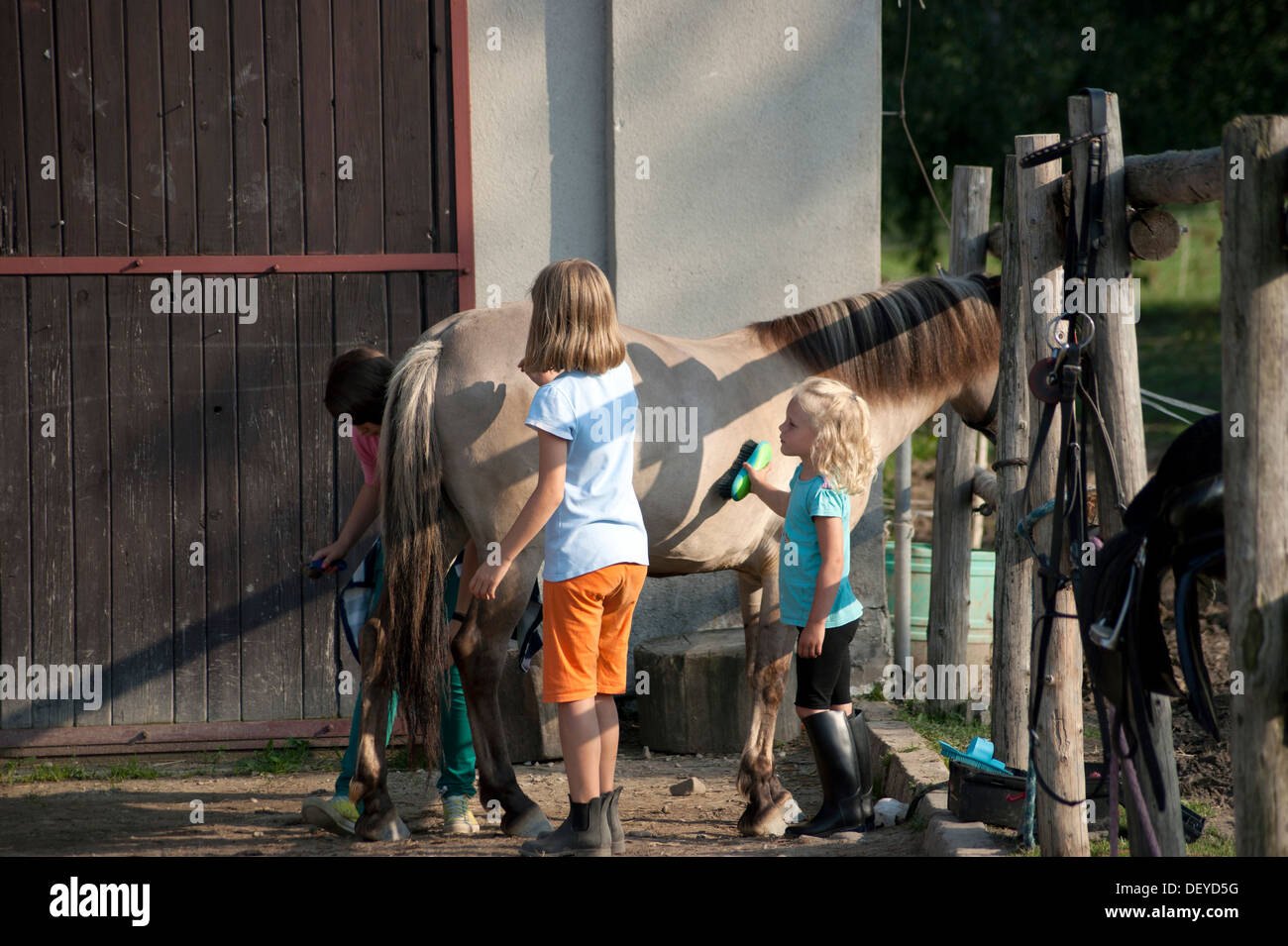 Ragazze e cavallo Foto Stock