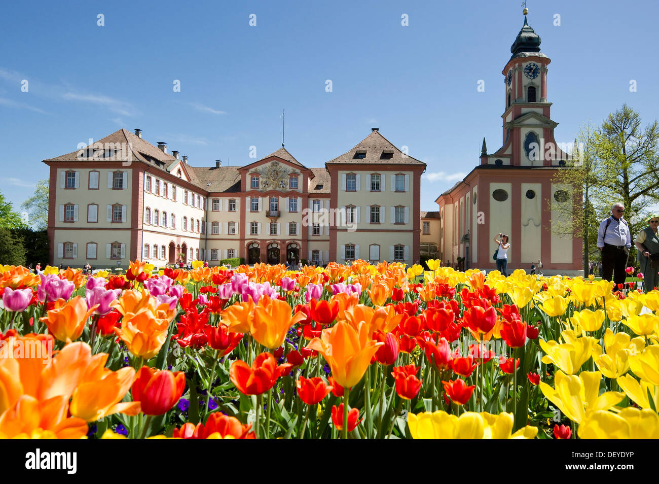 Schloss Mainau castello e un colorato campo di tulipani, Insel Mainau, Konstanz, Baden-Württemberg, Germania Foto Stock