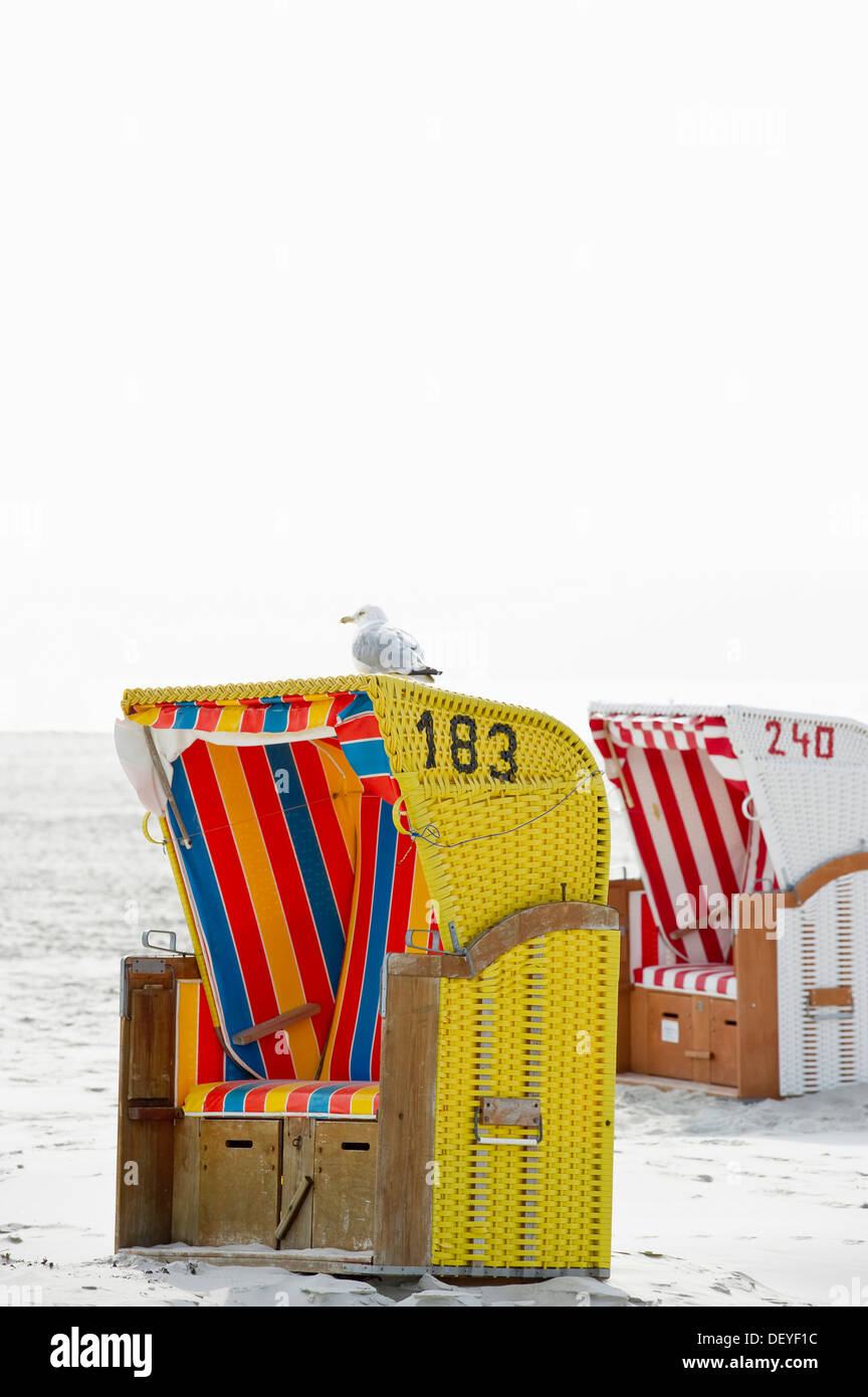 Colorate in vimini con tetto di sedie a sdraio sulla spiaggia con un gabbiano su un tetto, Norddorf, Amrum, Amrum, Nord Isole Frisone Foto Stock