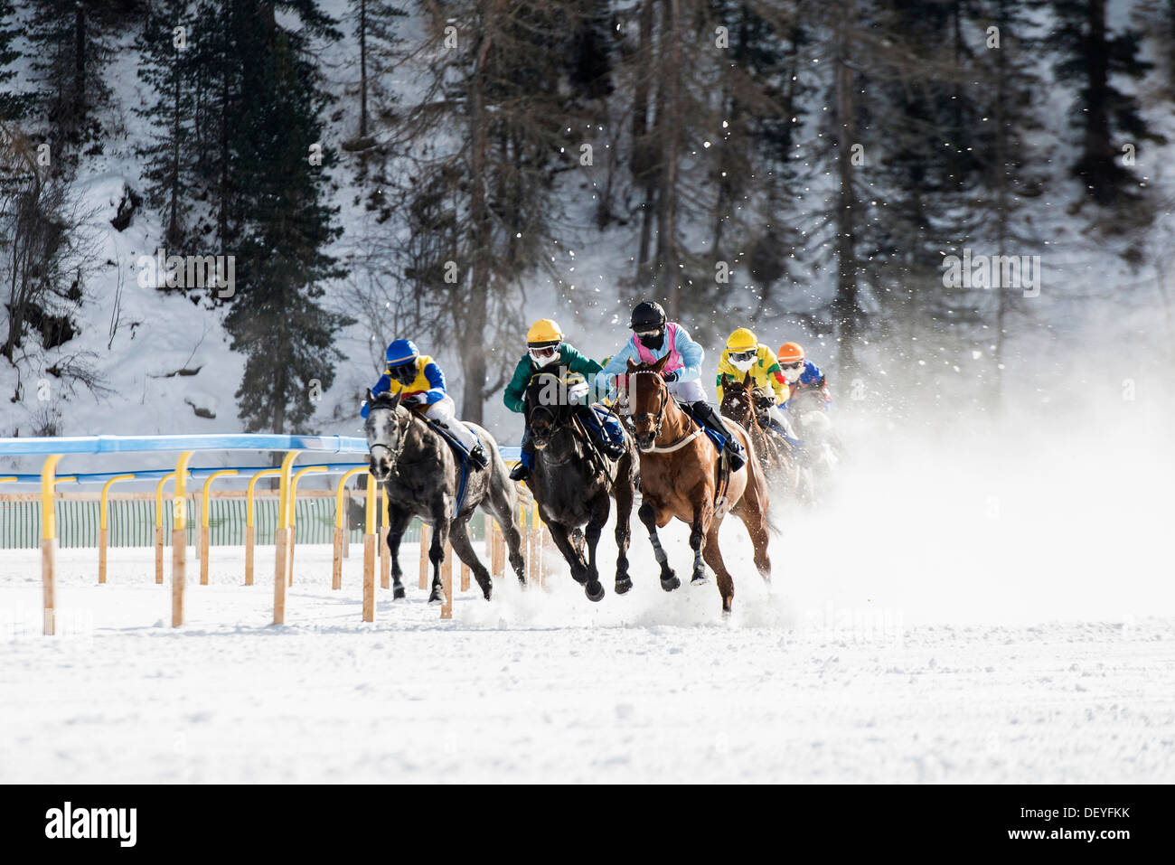 Corse di cavalli su un lago ghiacciato, San Moritz Engadin, Grigioni, Svizzera Foto Stock
