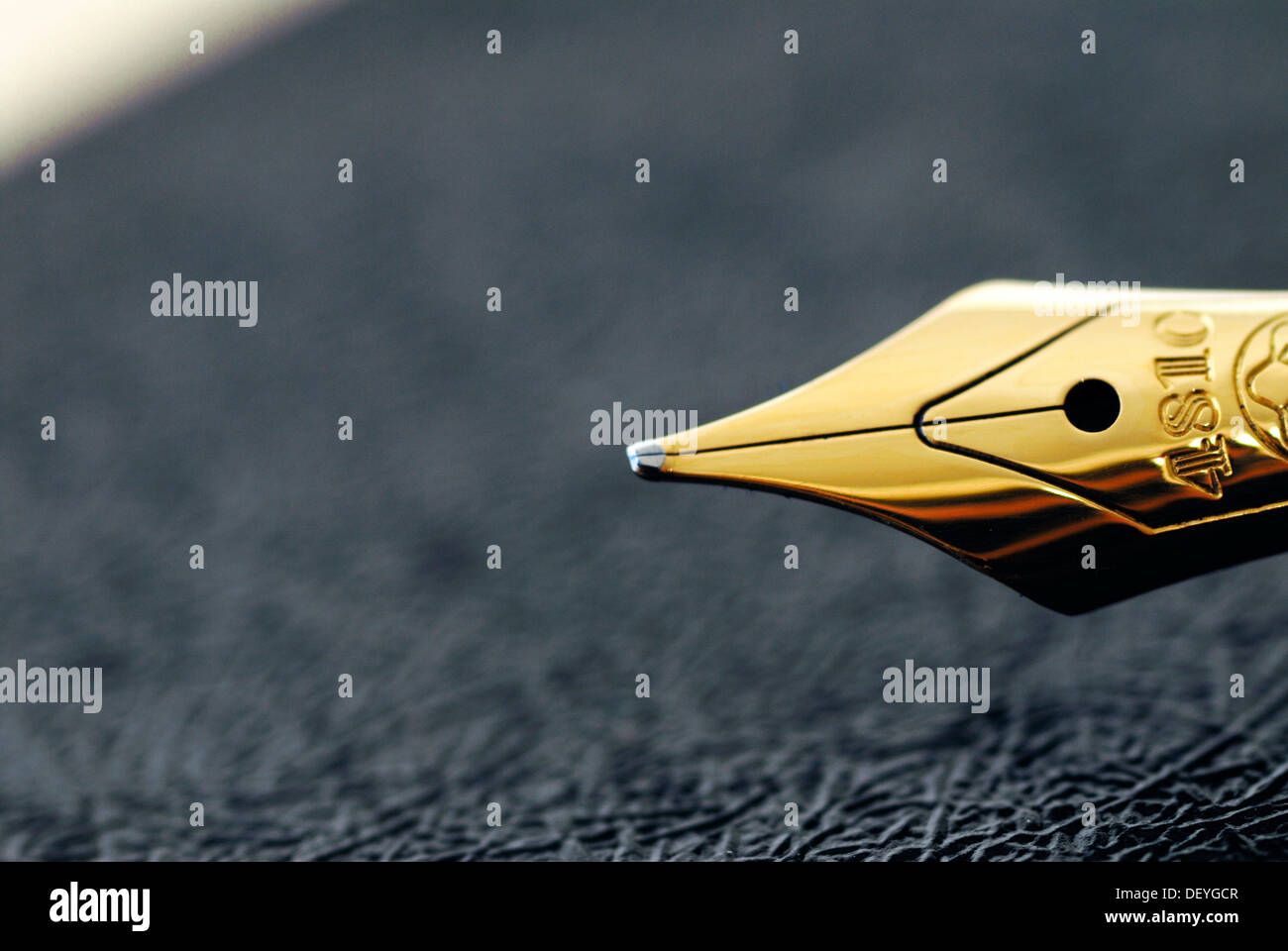 Penna stilografica su un notebook, dettaglio Foto Stock
