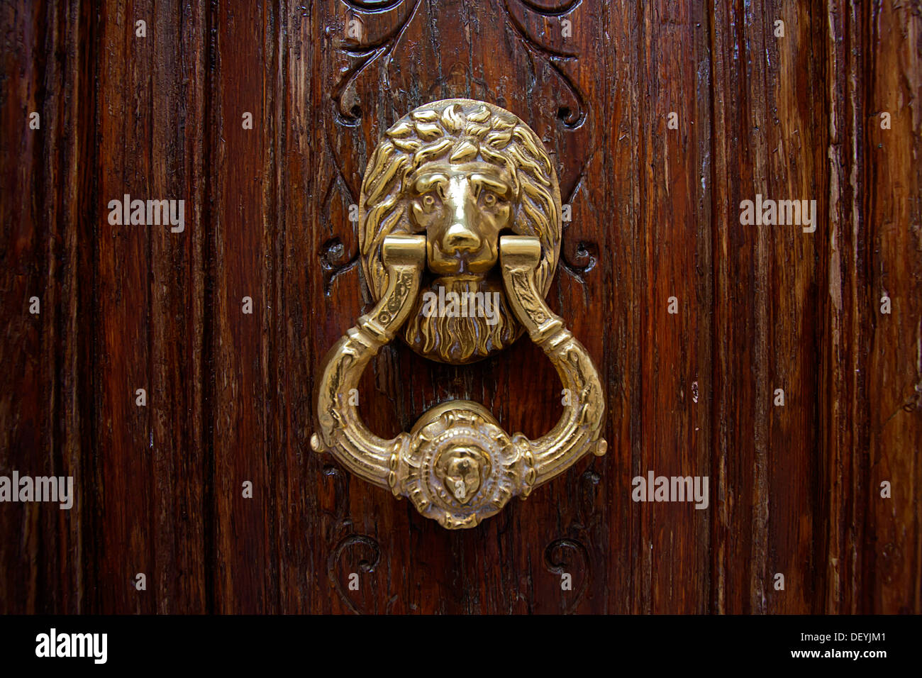 Testa leone porta respingente Foto Stock