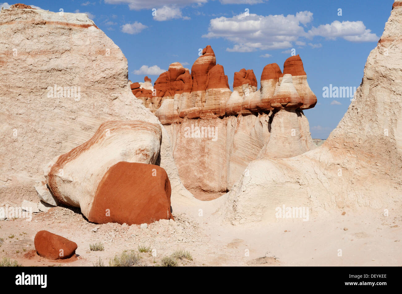 Hoodoos colorati, pilastri di roccia, formazioni di arenaria, Blue Canyon, Arizona, Stati Uniti Foto Stock