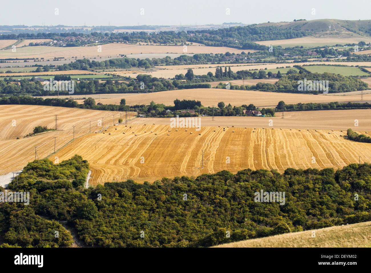 Appena raccolto i campi con balle di fieno, sul Bedfordshire Buckinghamshire confine Foto Stock