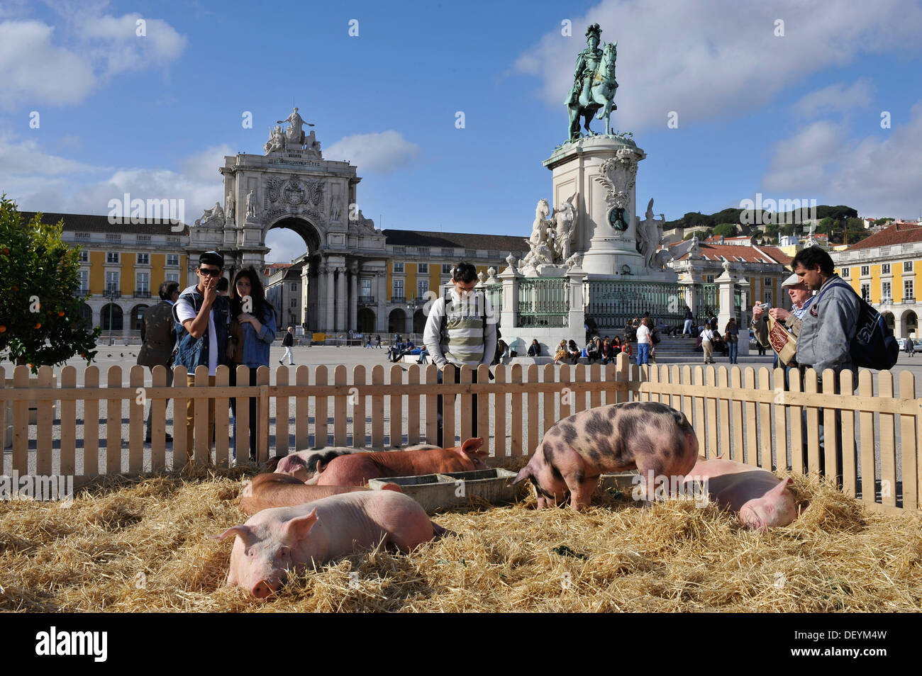 Set cinematografico con suini sulla Praça do Comércio square, Lisbona, Portogallo, Europa Foto Stock