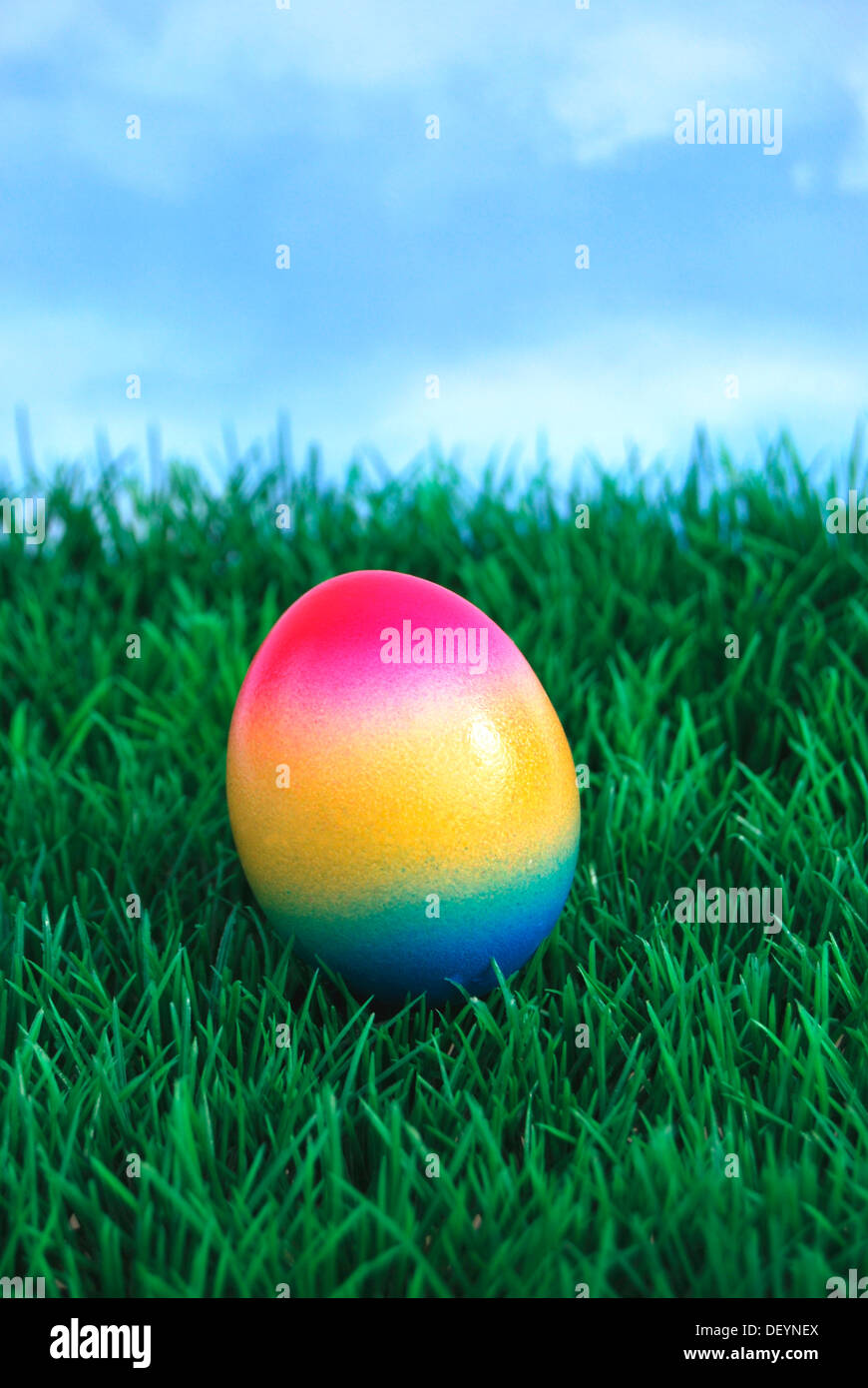 Uovo solo in arcobaleno di colori su un prato Foto Stock