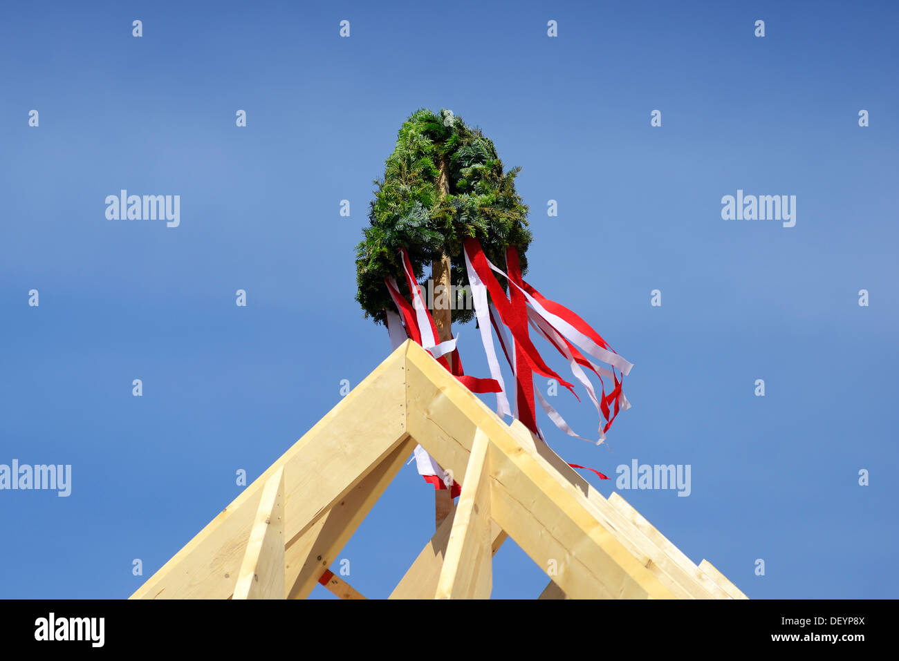 Richtkranz su un edificio di nuova costruzione, Richtkranz auf einem Neubau Foto Stock