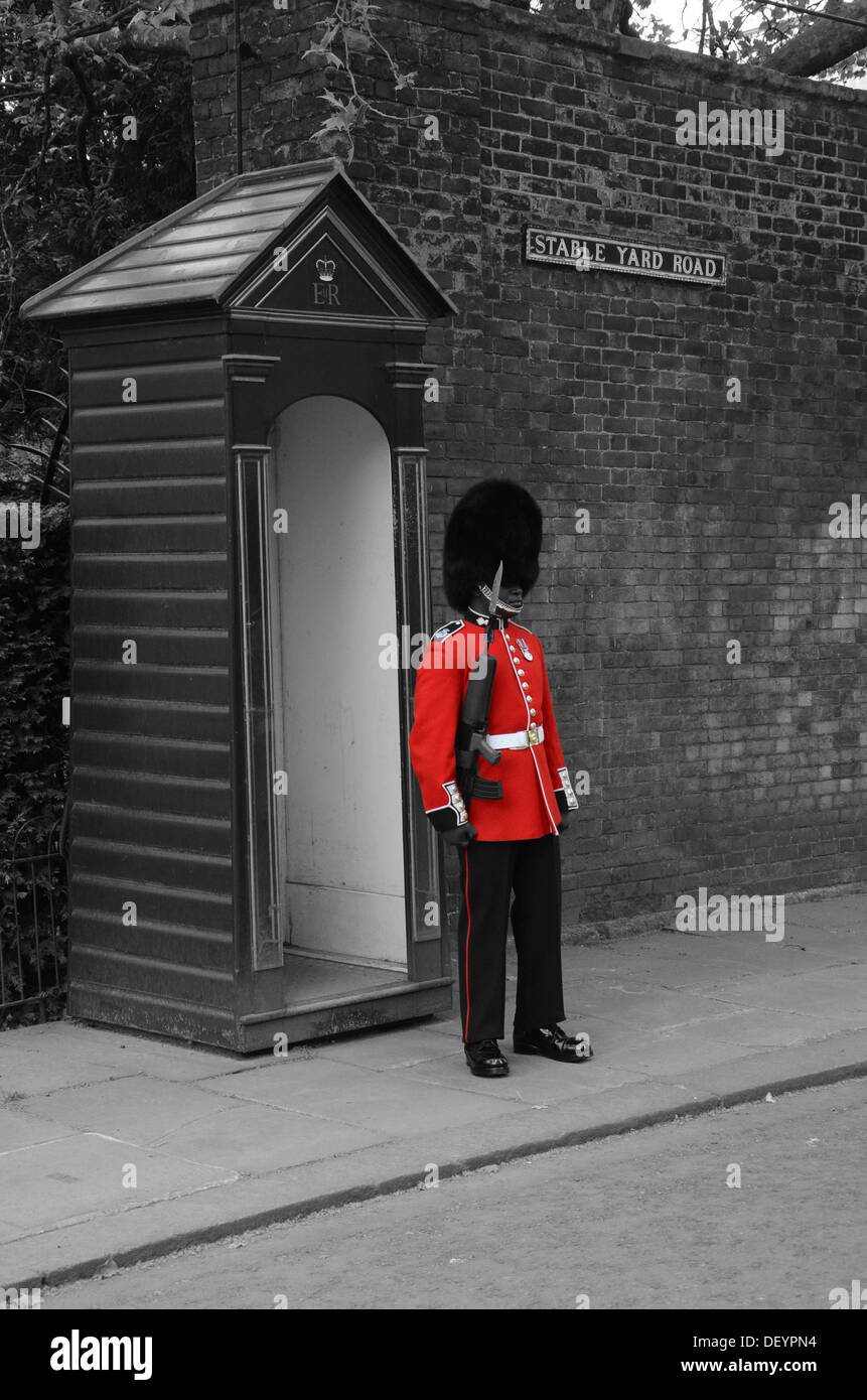 Una regine di protezione sul dovere che indossa il suo consueto rosso uniforme, e recare cappello di pelliccia tenendo un fucile al di fuori di St James Palace. Foto Stock