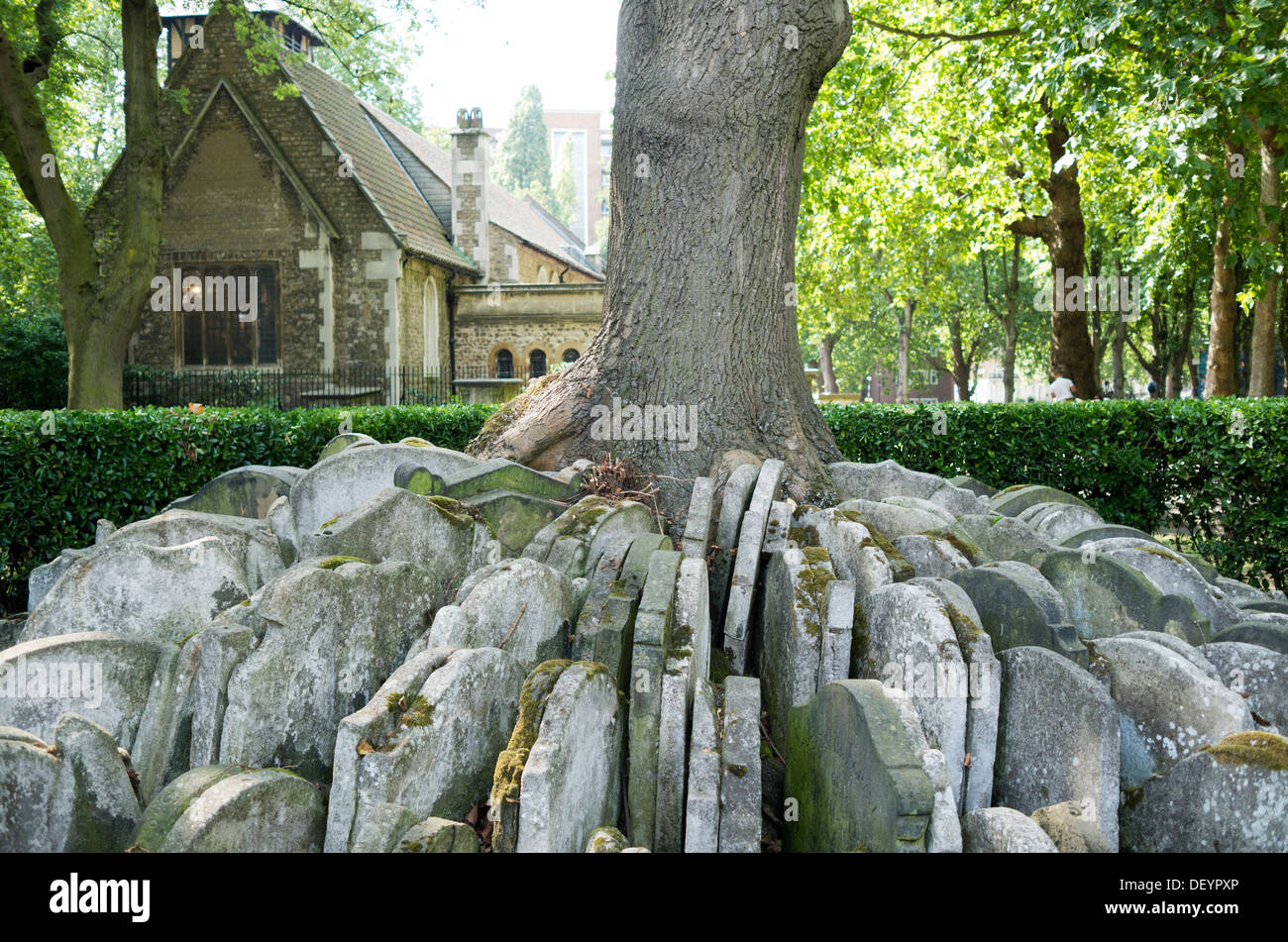 Old St Pancras chiesa, con la Hardy albero in primo piano. Paesaggio. Foto Stock