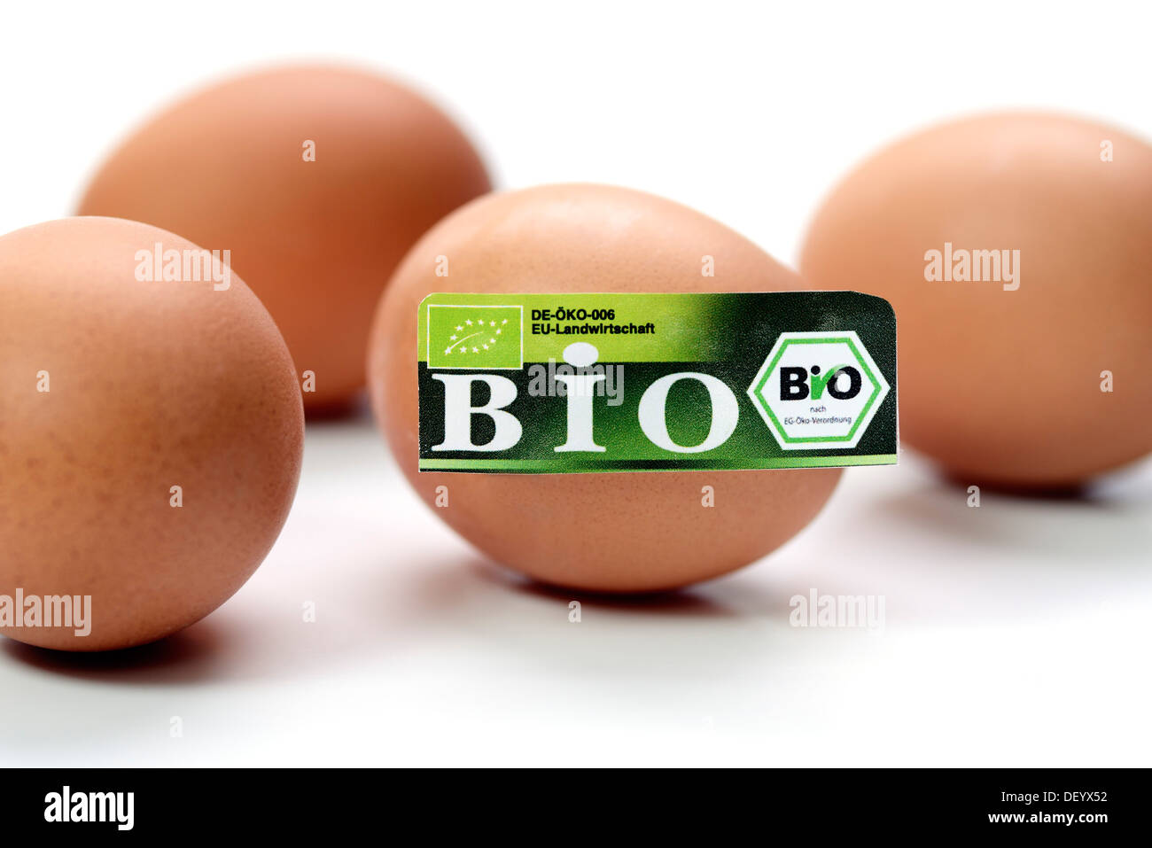 Di gallina uova con guarnizione organica, immagine simbolica, Germania Foto Stock