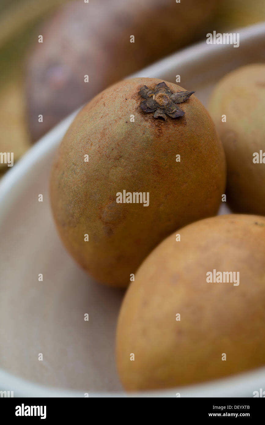 Frutti di sapodilla (manilkara zapota) Foto Stock