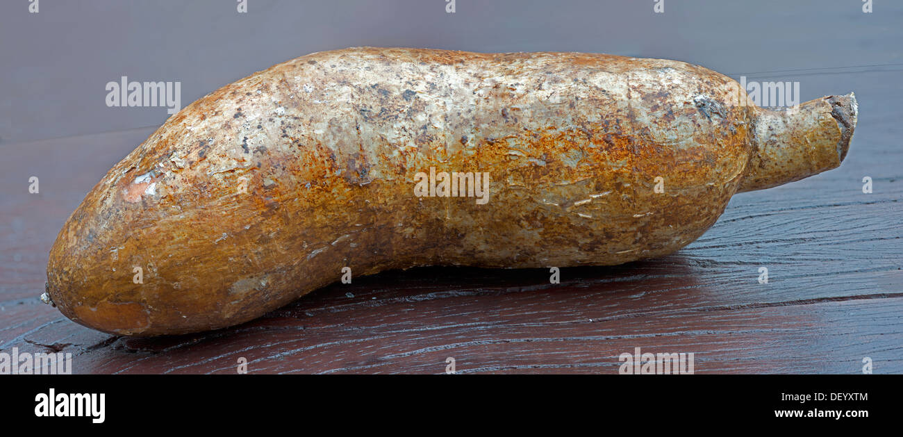 Radici di manioca o manioca (Manihot esculenta) Foto Stock