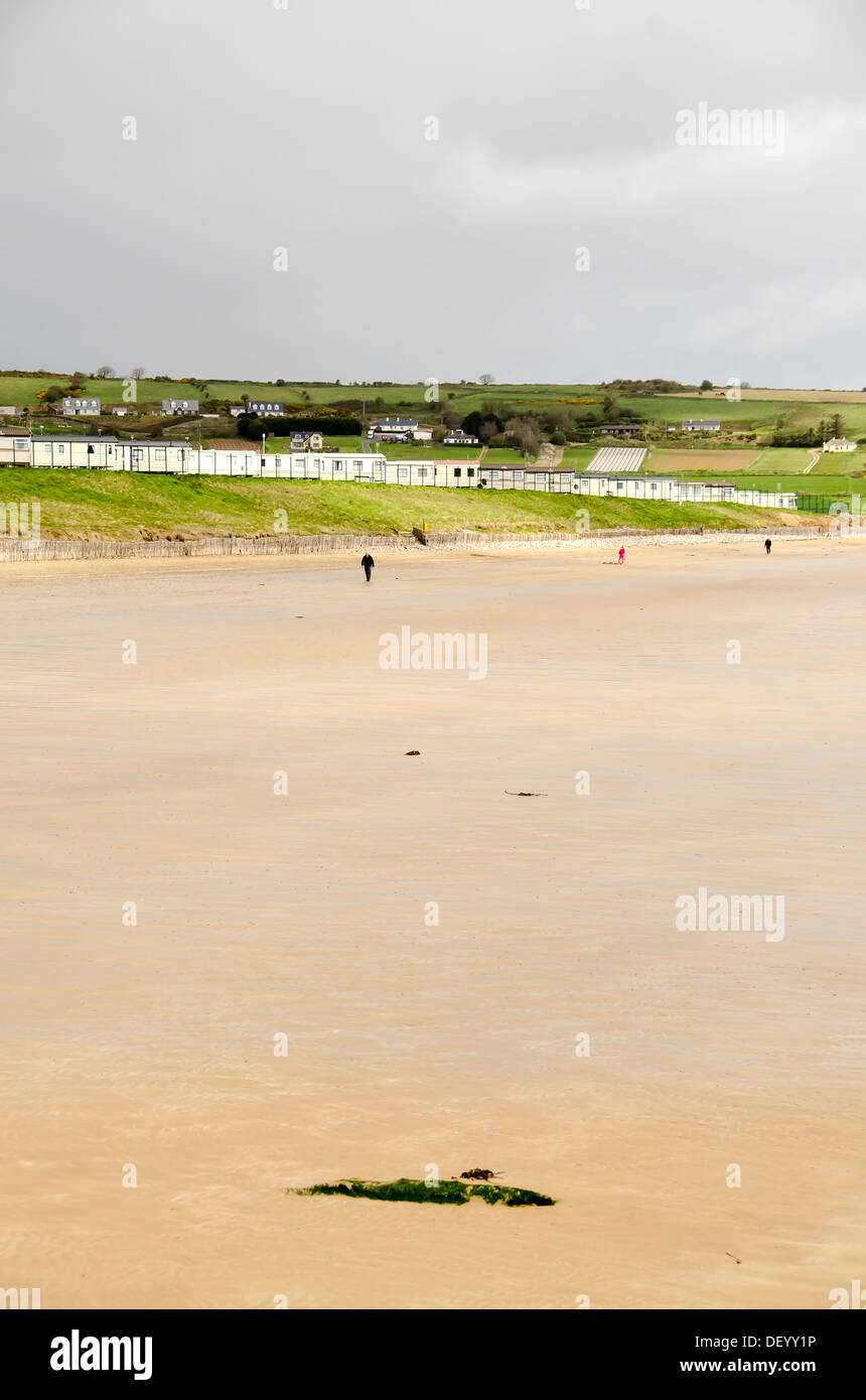 La bassa marea beach a Ardmore, una rinomata stazione balneare e villaggio di pescatori nella Contea di Waterford, Irlanda Foto Stock