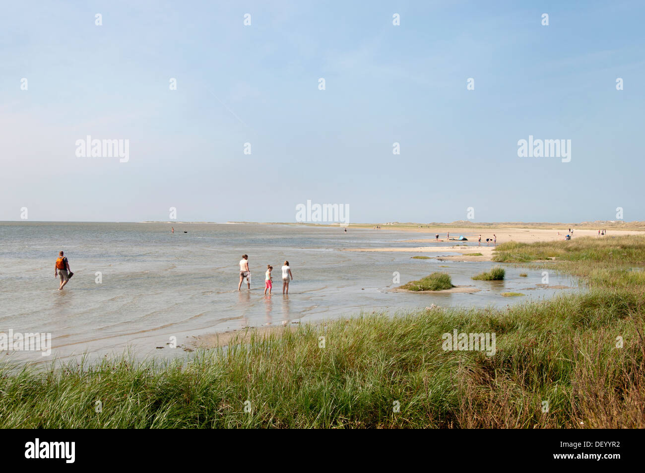 Terschelling Friesland Borra Wadden Sea Paesi Bassi Foto Stock