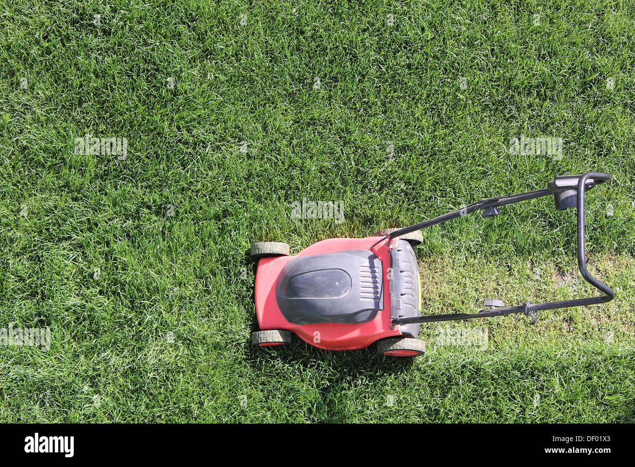 Erba taglierina taglia il prato verde Foto Stock