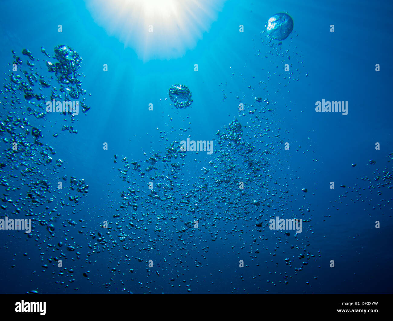 Bolle di un subacqueo in immersione nel mare salgono verso la superficie Foto Stock