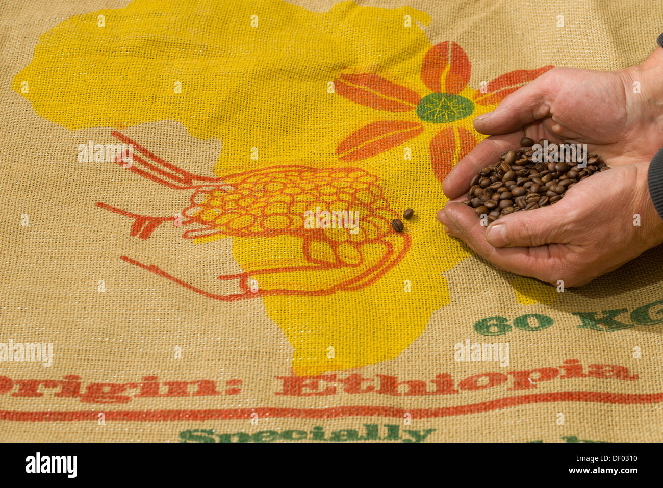 Caffè tostato in grani di Etiopia Yirgacheffe Foto Stock