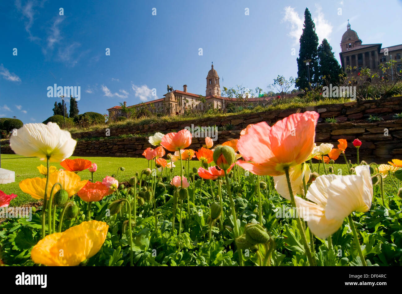 Unione di edifici, Pretoria Gauteng, Sud Africa e Africa Foto Stock