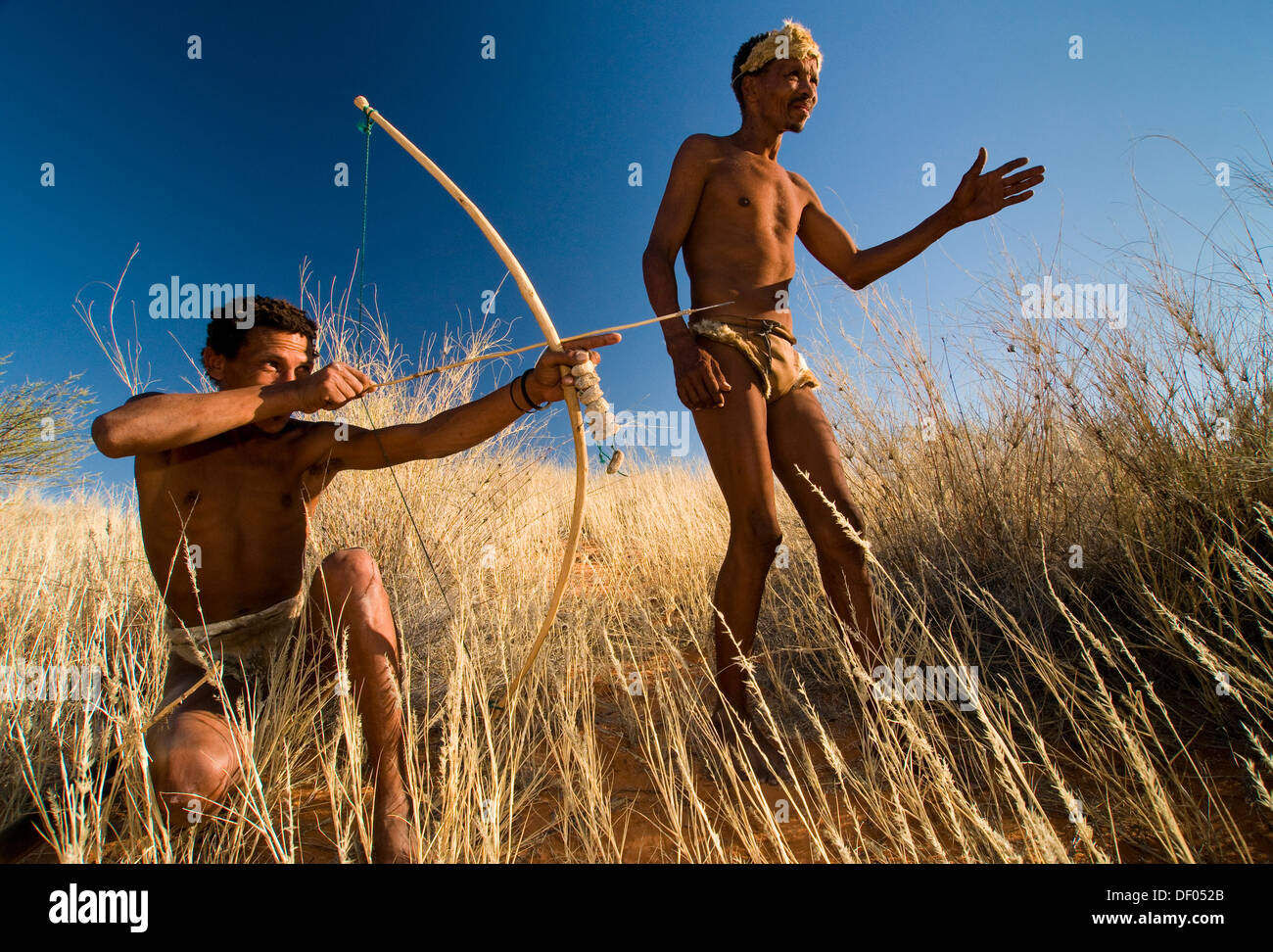 San, i Boscimani, con arco e frecce, vicino Andriesvale, Deserto Kalahari, Northern Cape, Sud Africa e Africa Foto Stock