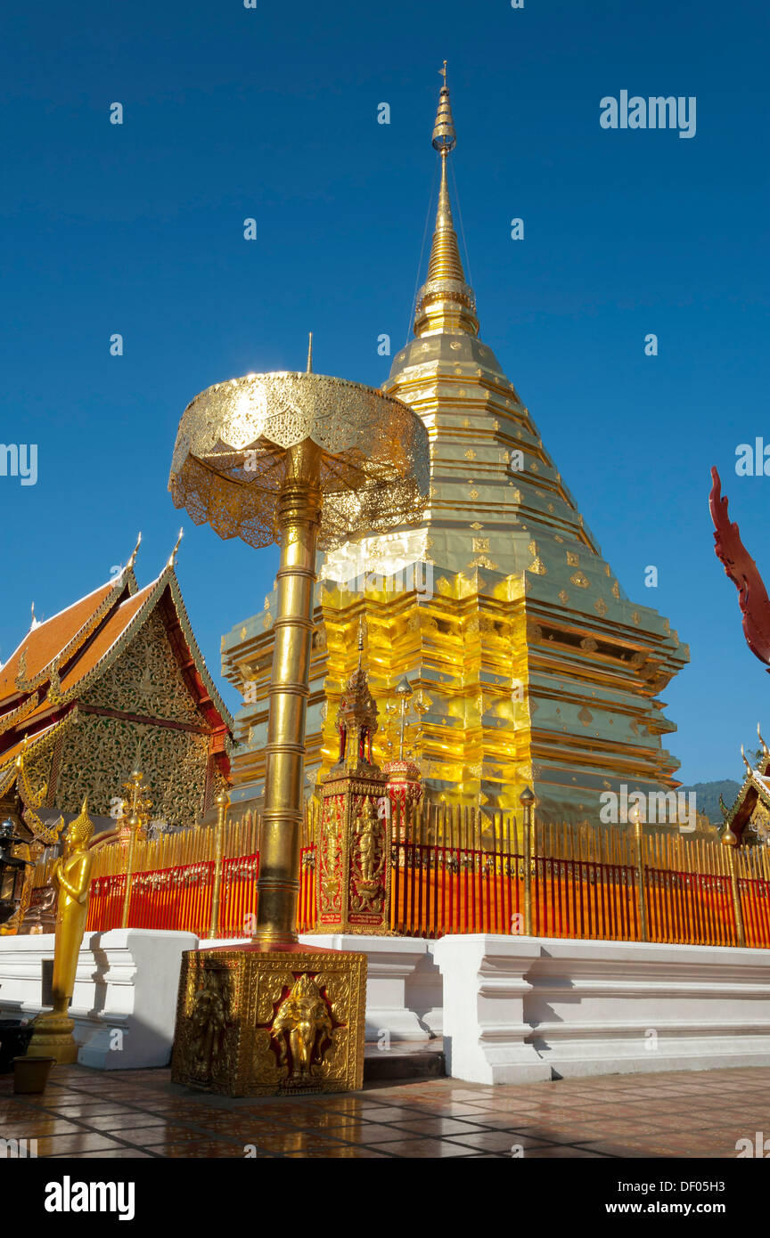 La pagoda dorata o Chedi, Wat Phra That Doi Suthep, Chiang Mai, Thailandia del Nord della Thailandia, Asia Foto Stock