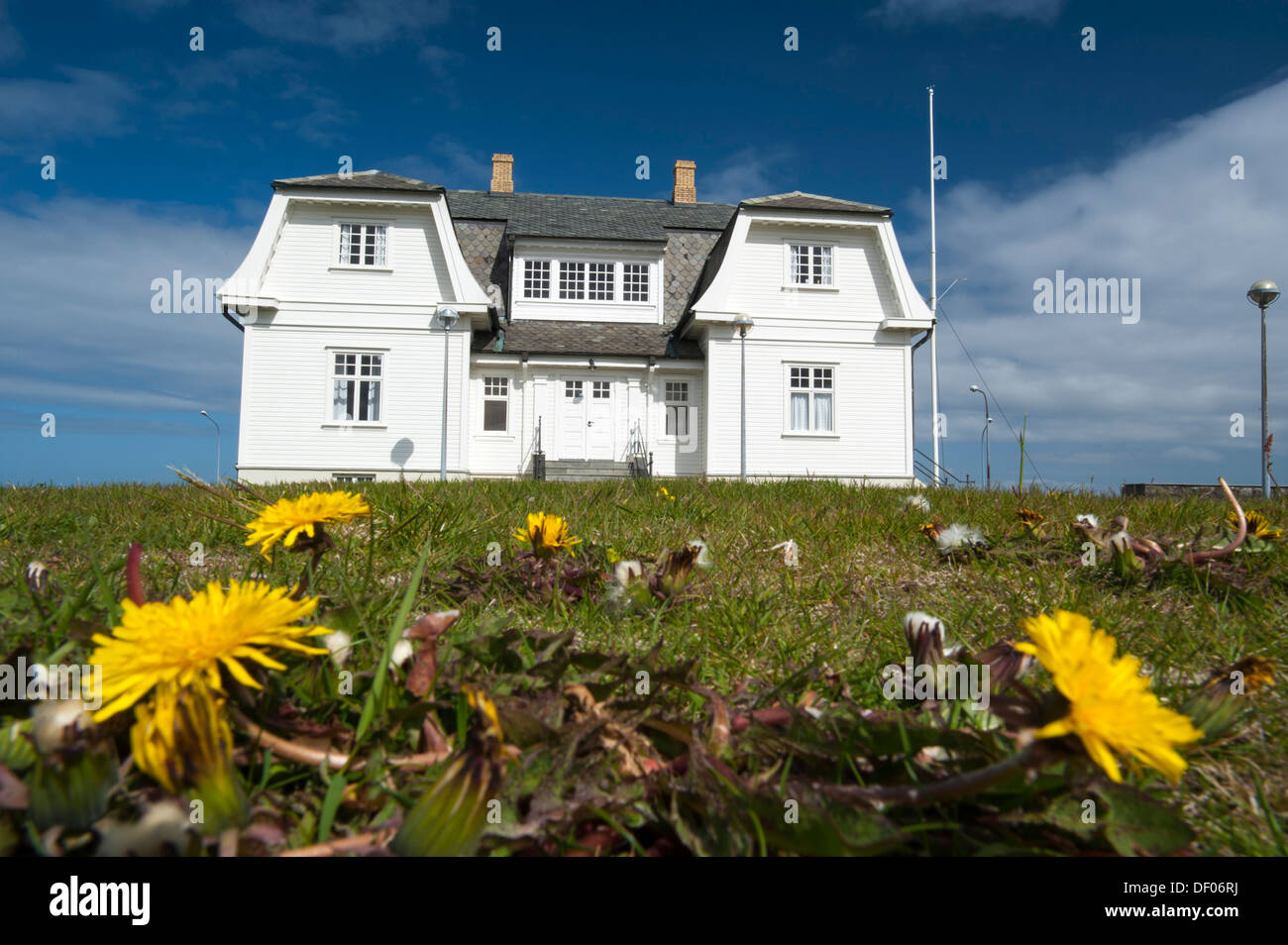 La pensione del capitale, Hoefði con il tarassaco (Taraxacum), davanti, a Reykjavik, Islanda, Europa PublicGround Foto Stock