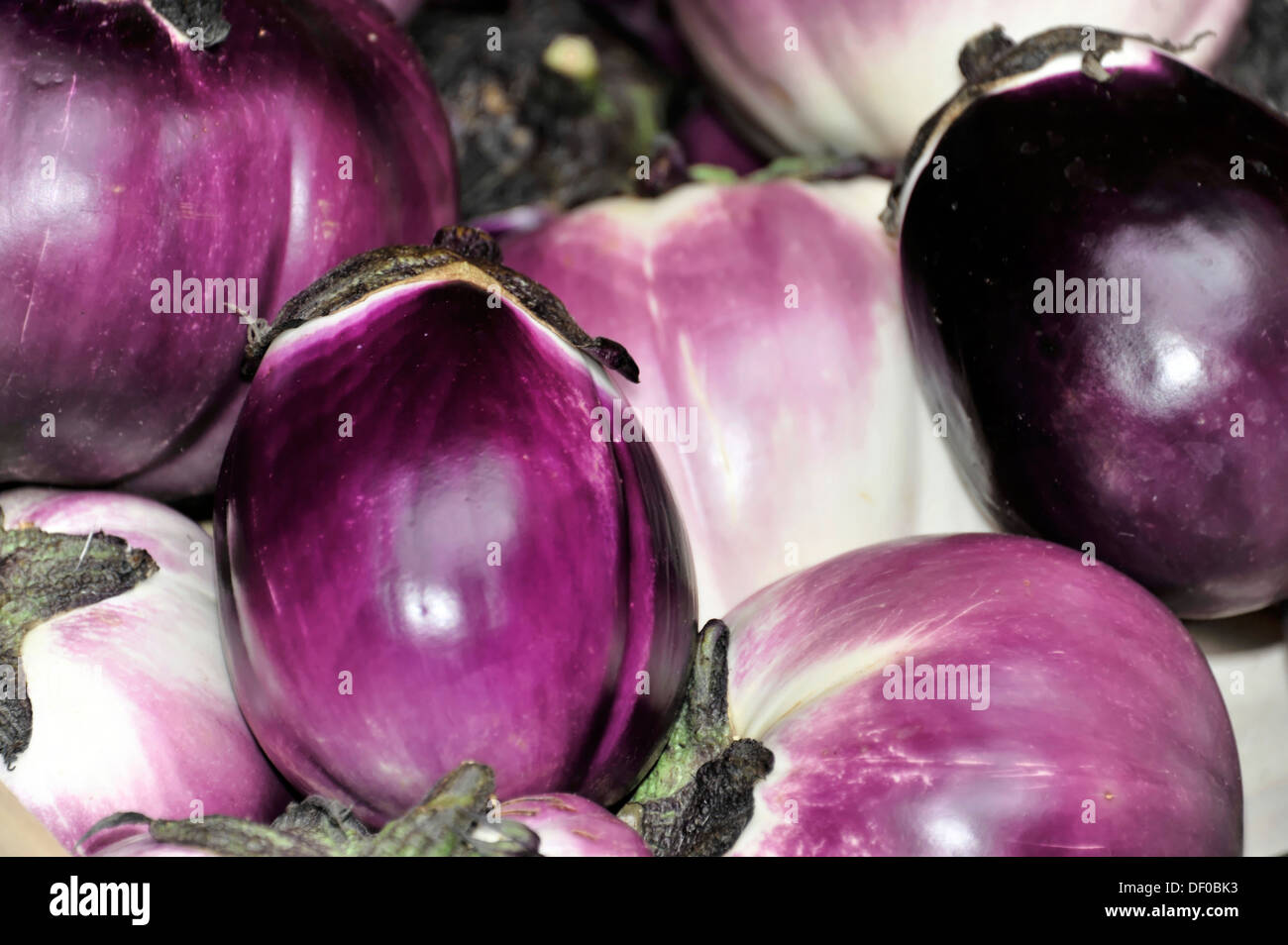 Melanzane viola melanzane o melanzane, verdure, il mercato di Rialto, Venezia, Veneto, Italia, Europa Foto Stock