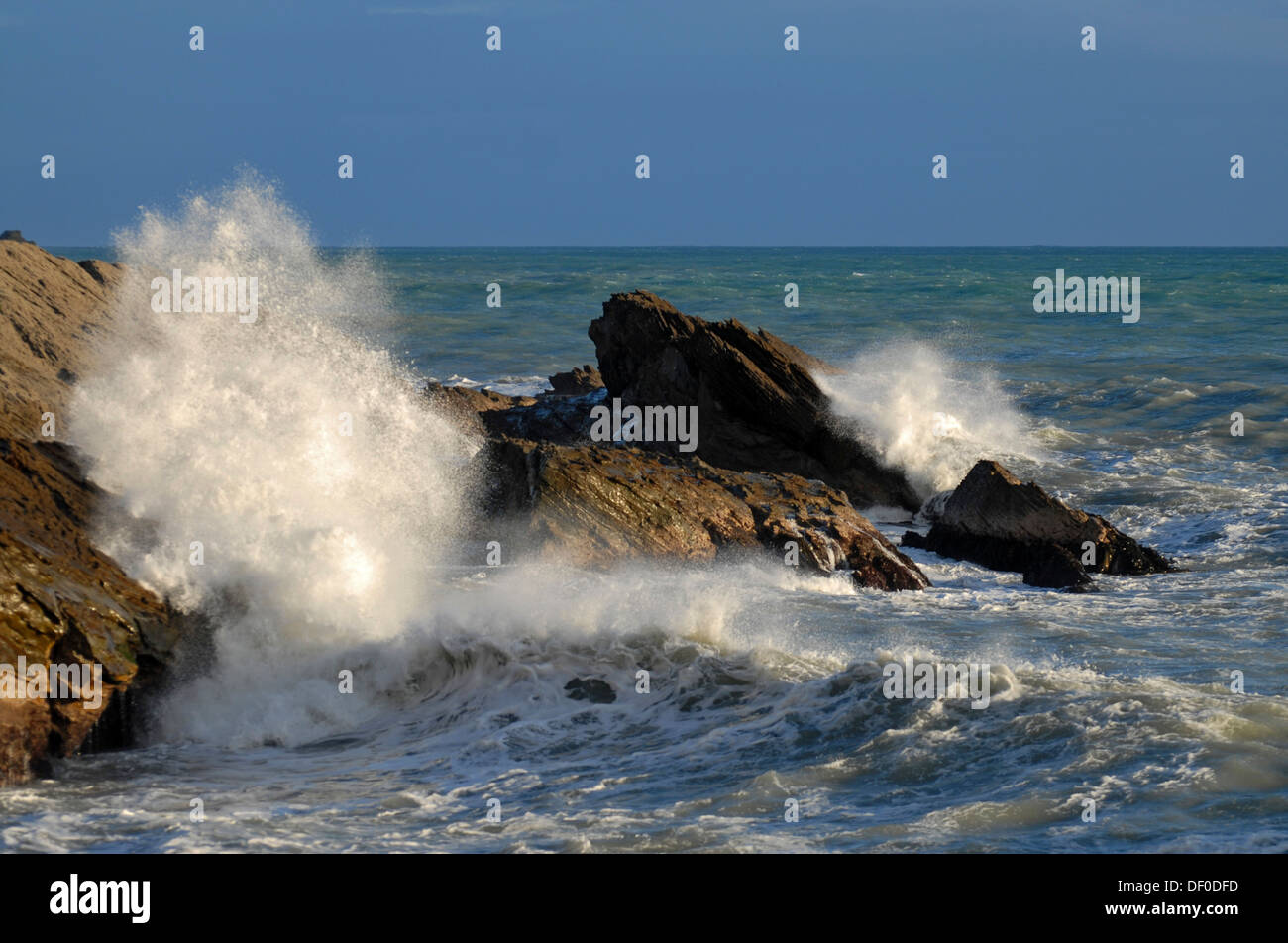 Onde che si infrangono a Cape Palliser le scogliere di Cape Palliser presso lo stretto di Cook, Nuova Zelanda Foto Stock