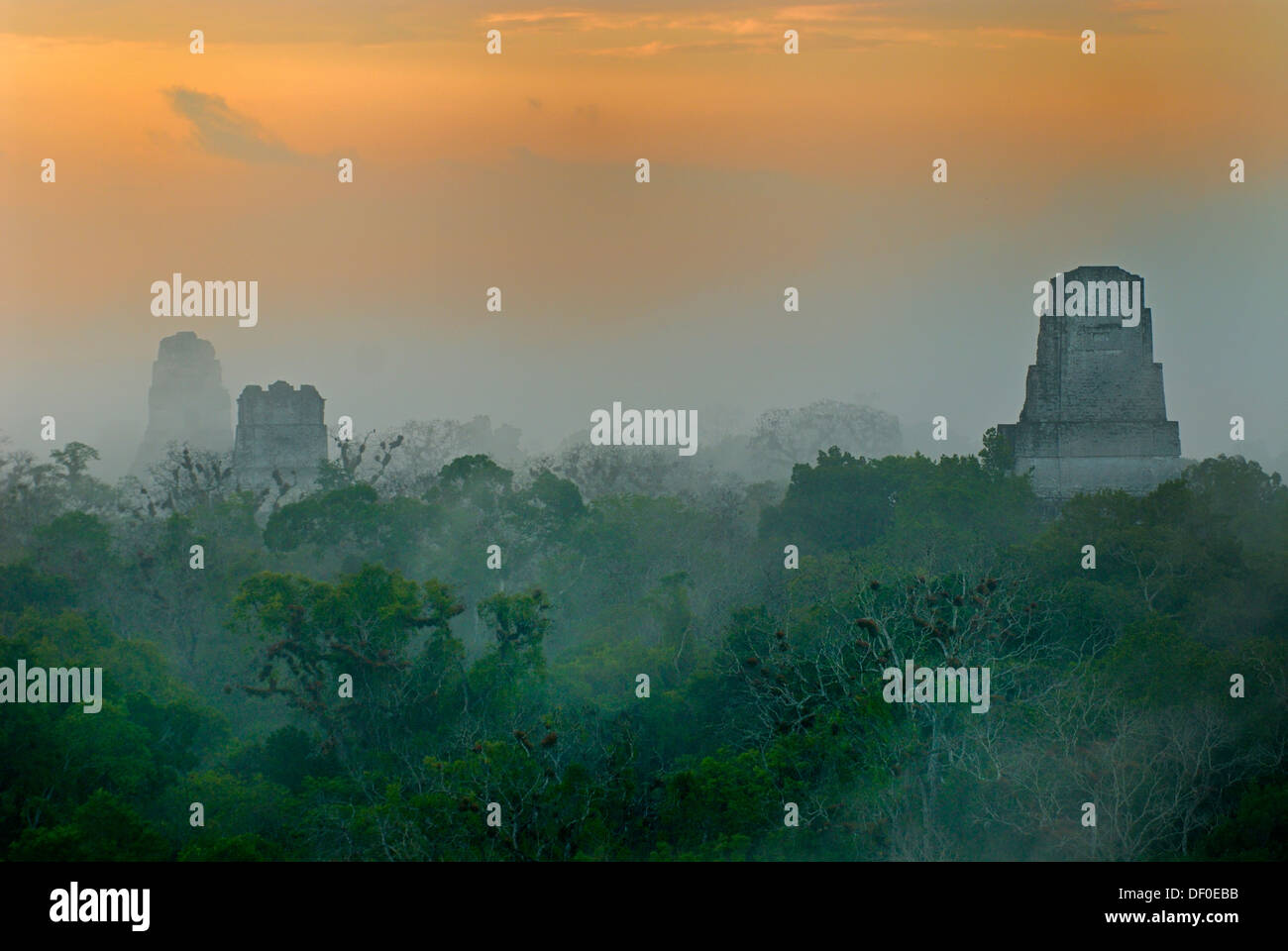 Templi maya di Tikal, piramide, calendario, 2012, foresta pluviale, sunrise, Peten, Guatemala, America Centrale Foto Stock