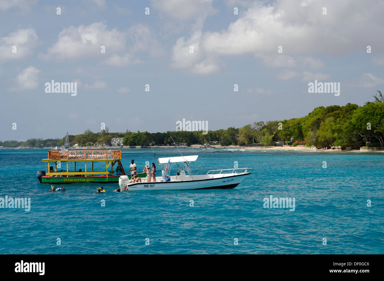 Caraibi, West Indies, isole Windward, Barbados, Payne's Bay. In barca dal fondo di vetro in Payne's Bay. Foto Stock