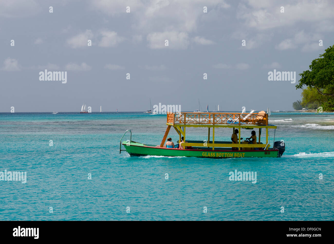 Caraibi, West Indies, isole Windward, Barbados, Payne's Bay. In barca dal fondo di vetro. Foto Stock