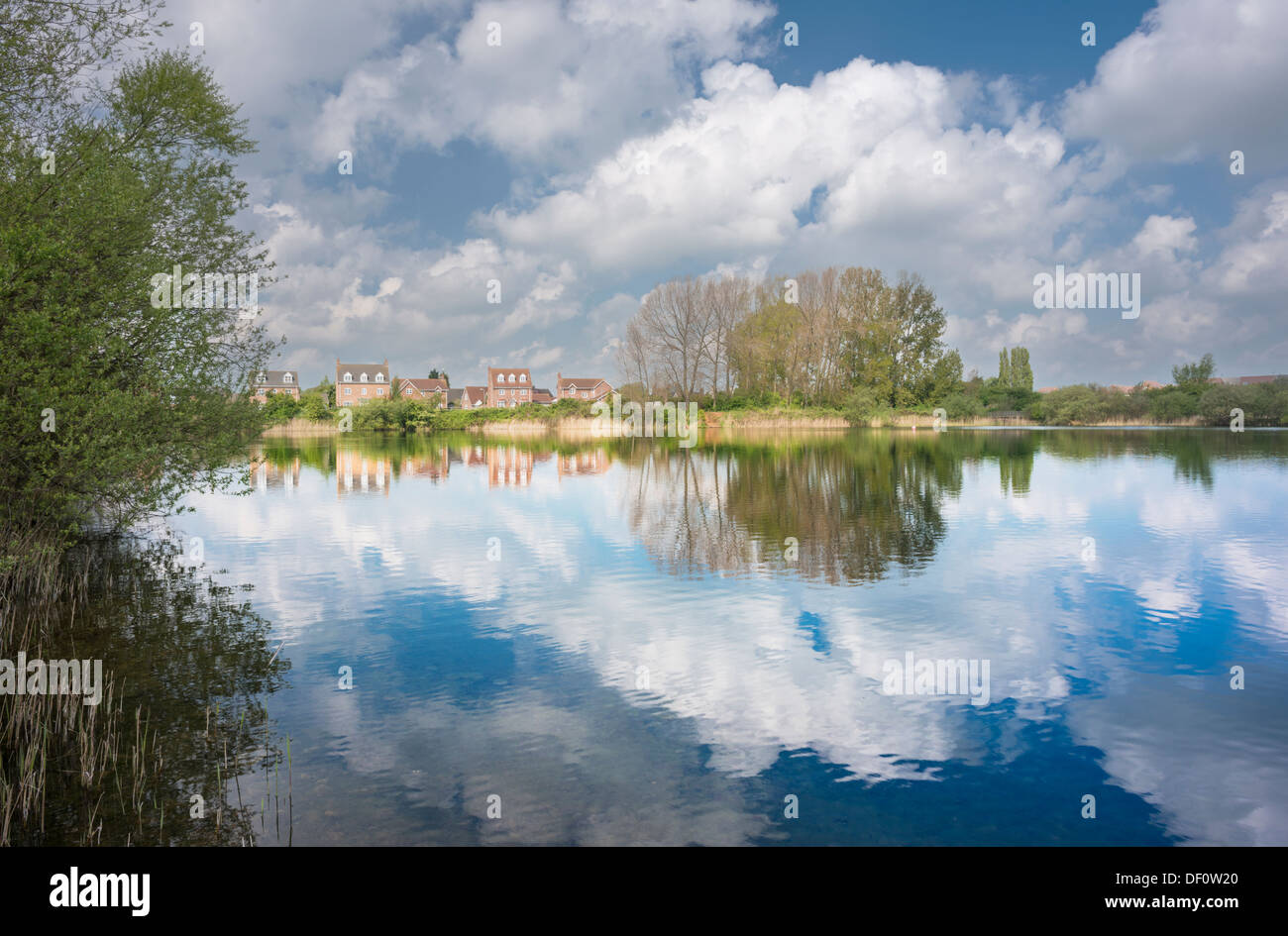 Occhio verde natura locale riserva, Peterborough, CAMBRIDGESHIRE, una ex cava di ghiaia, ora restaurato come una riserva naturale Foto Stock