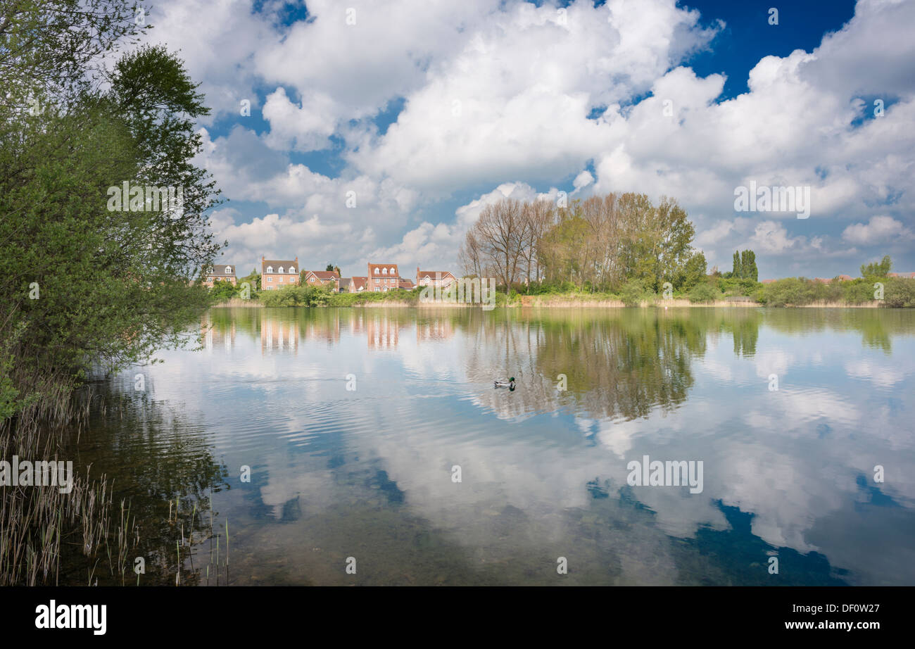 Occhio verde natura locale riserva, Peterborough, CAMBRIDGESHIRE, una ex cava di ghiaia, ora restaurato come una riserva naturale Foto Stock