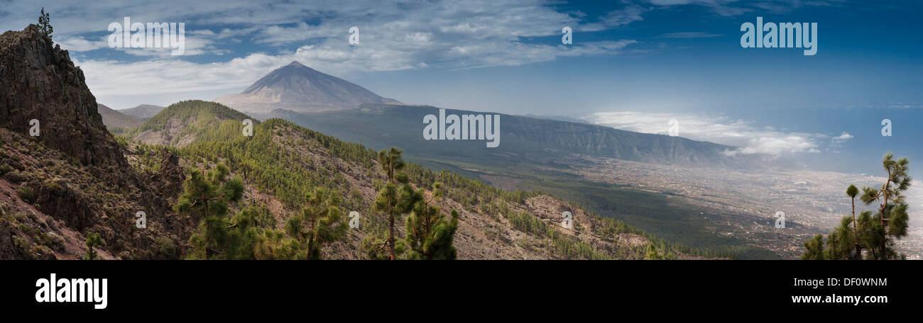 Vista verso la grande stratovulcano di El Teide, sopra la valle Orortava da, La Crucita, Tenerife, Isole Canarie, Spagna Foto Stock