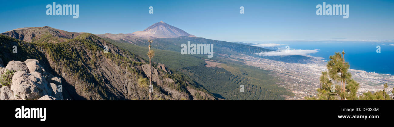 Vista verso la grande stratovulcano di El Teide, sopra la valle Orortava da La Crucita, Tenerife, Isole Canarie Foto Stock