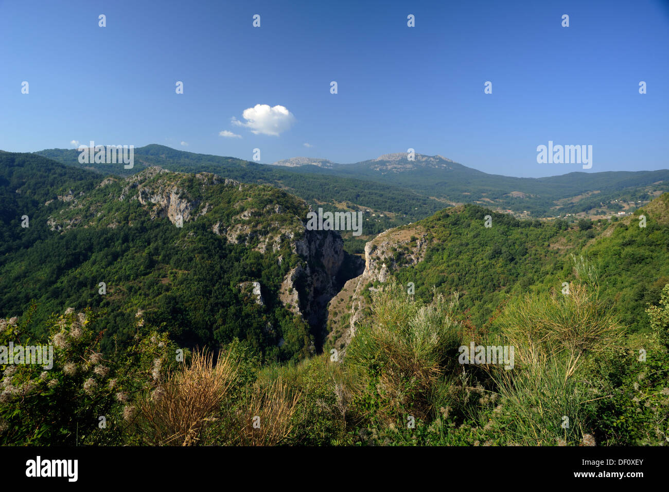 Italia, Basilicata, Parco Nazionale del Pollino, Gole della Garavina Foto Stock