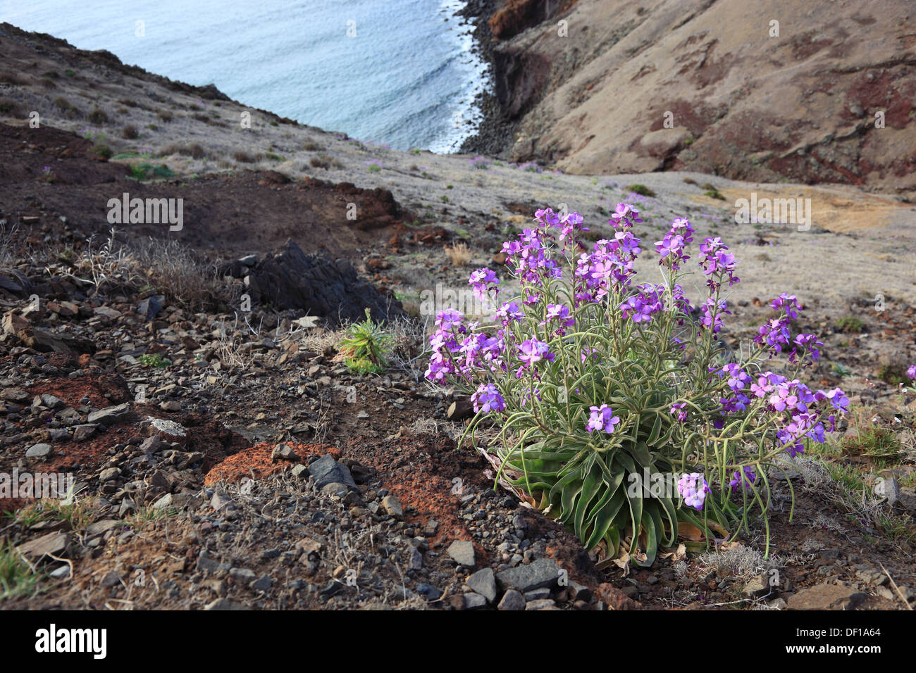 Madera, Cap Ponta de Sao Lourenco, l'estremità orientale dell'isola paesaggio Foto Stock