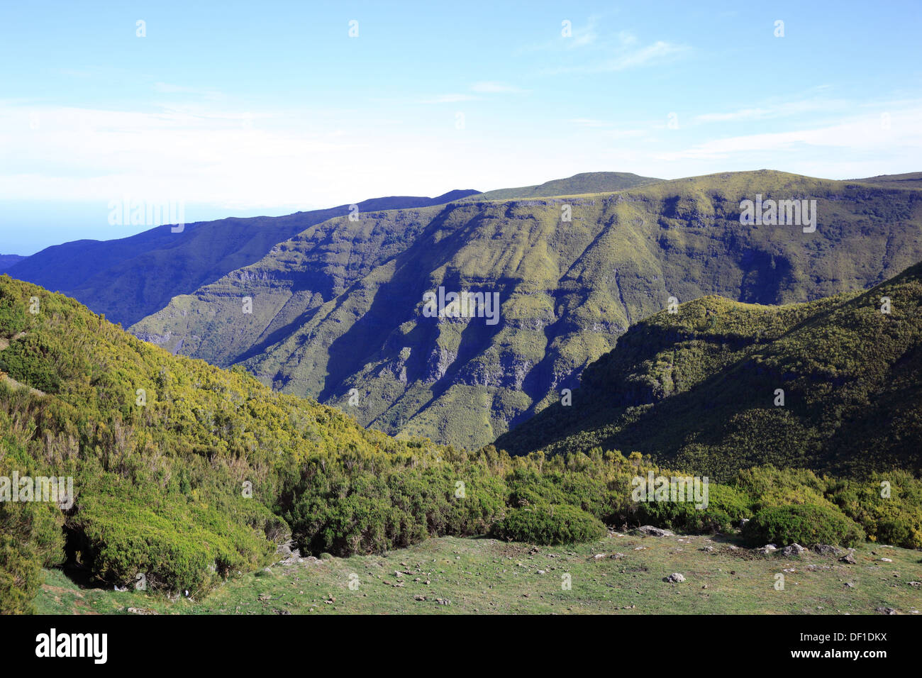 L'isola di Madeira, paesaggio, gite di Rabacal Foto Stock