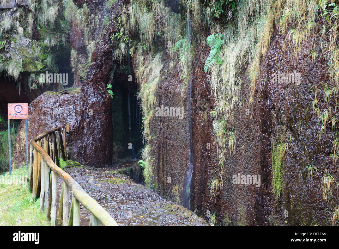 L'isola di Madeira, paesaggio, gite di Rabacal, la Levada do risco a 25 Fontes, cascate, scenario lungo la Levada escursionismo tr Foto Stock