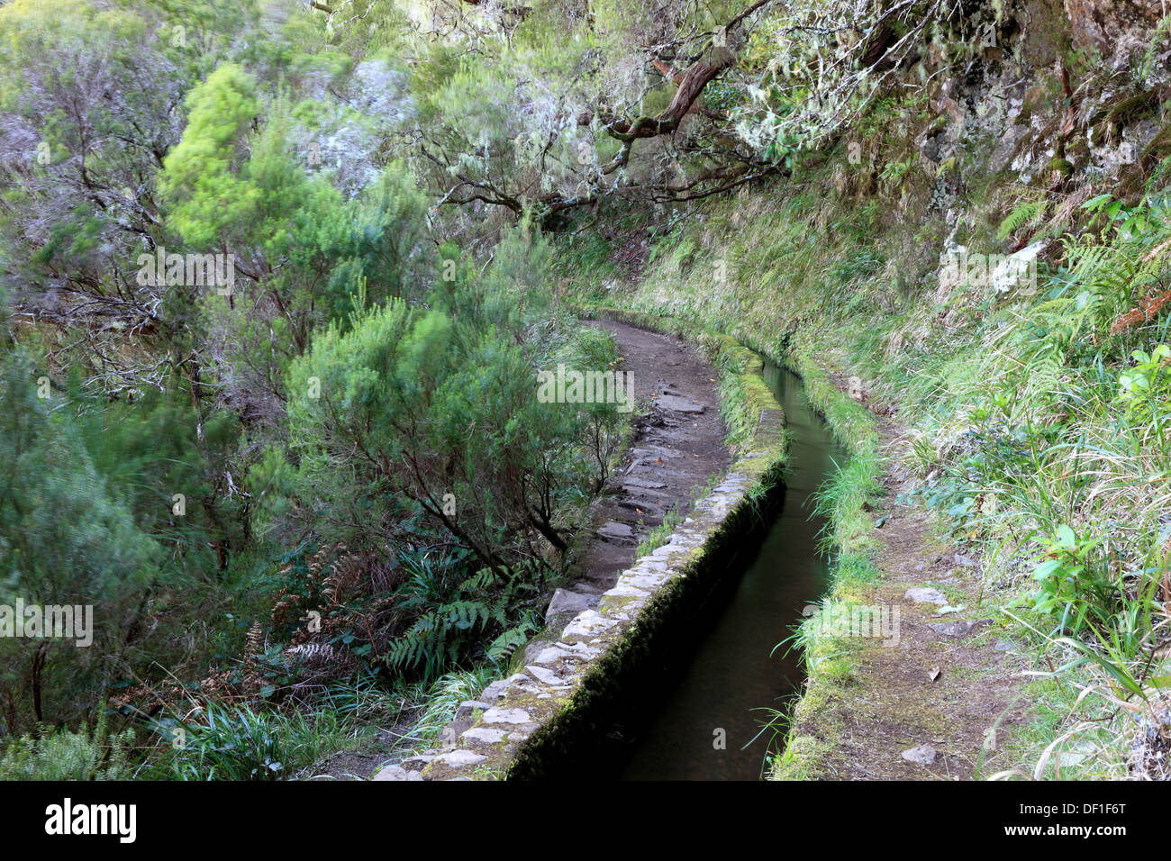 L'isola di Madeira, paesaggio, Rabacal field trip, via lungo la Levada do risco, i canali di irrigazione Foto Stock