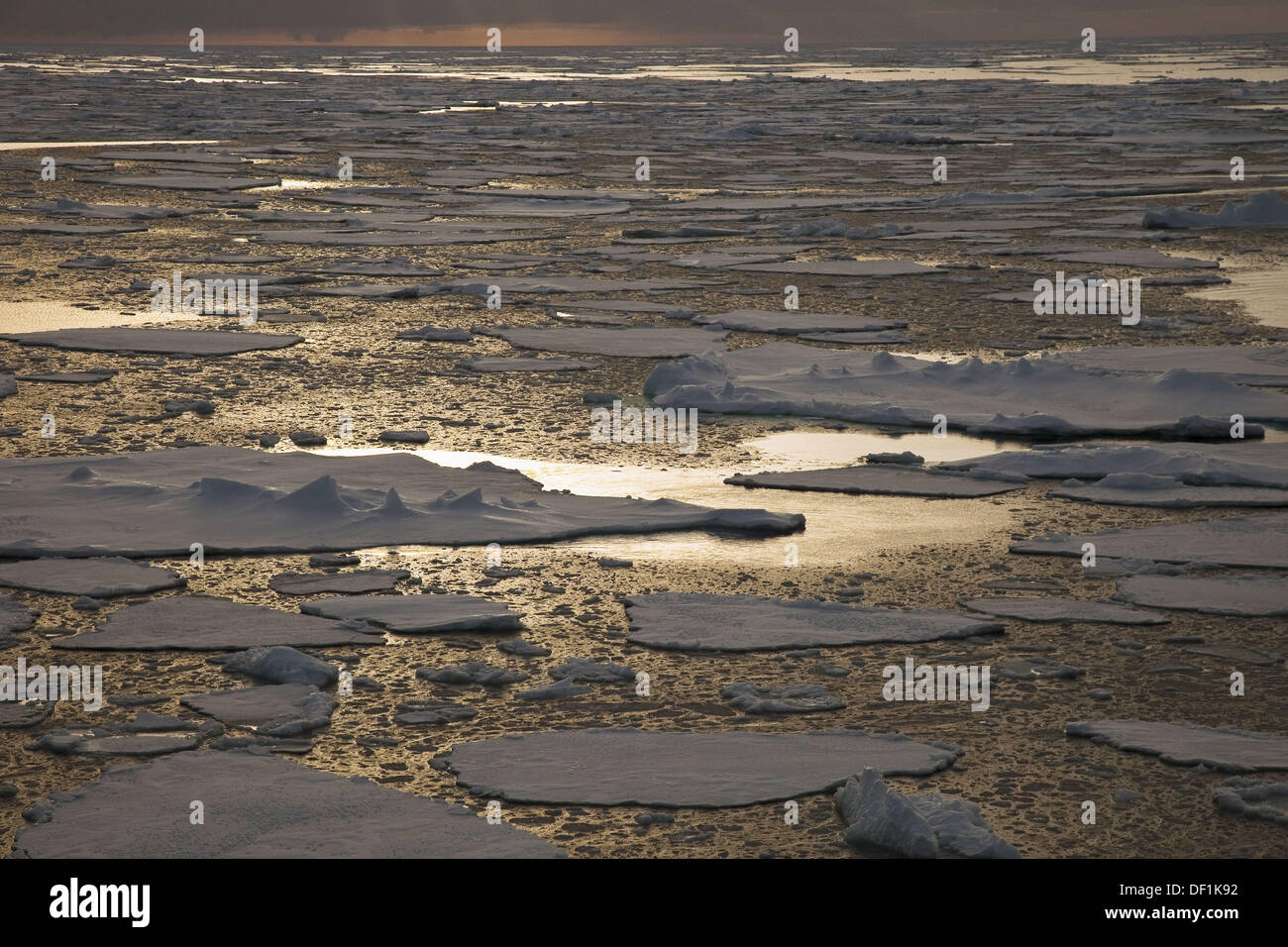 La banchisa al tramonto, vicino ghiacciaio Mertz, Oceano Meridionale, Est Antartide Foto Stock