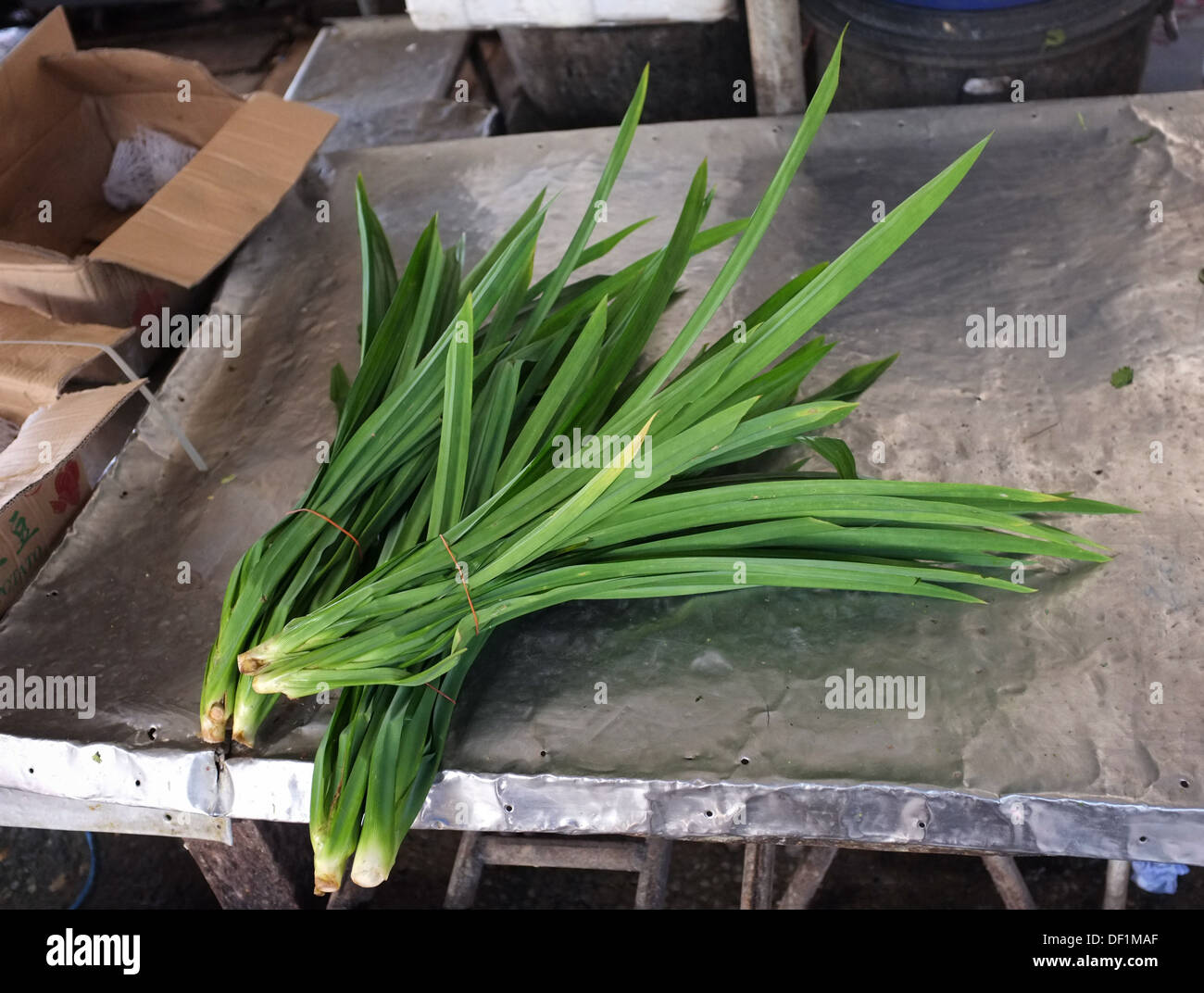 Pandan lascia per la vendita al mercato a Bangkok, in Thailandia Foto Stock