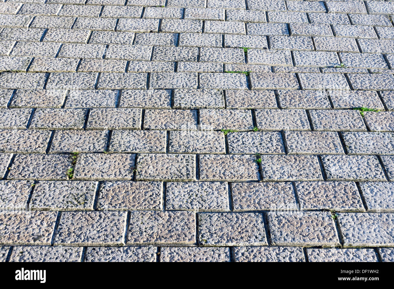Grigio pietre per pavimentazione con le texture Foto Stock