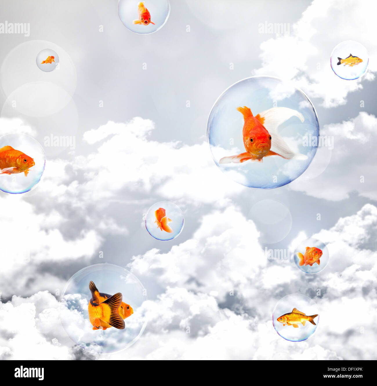 Goldfish nella bolla di sapone fly Foto Stock