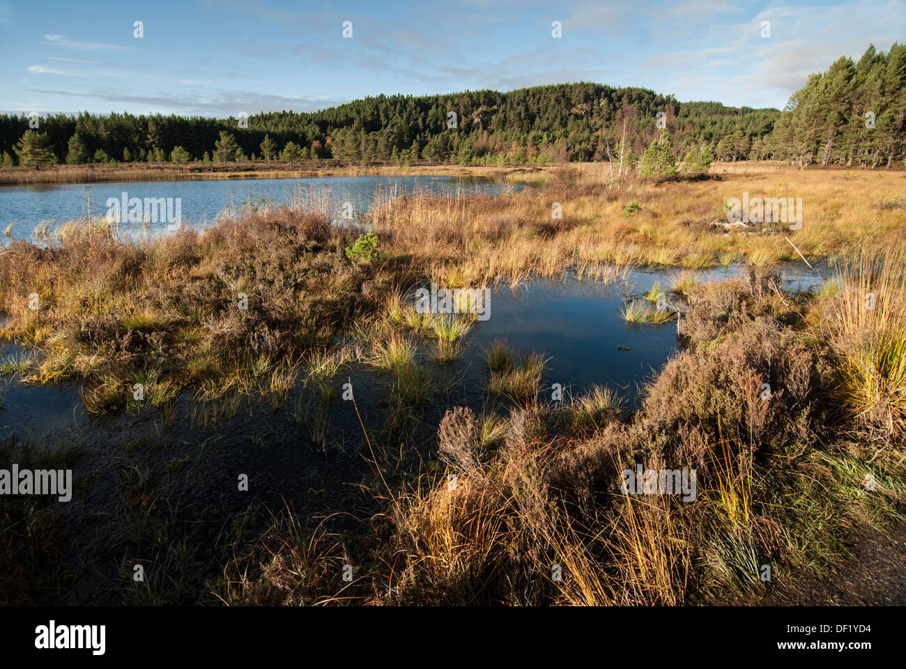 Wide aspect di Uath Lochan sollevato bog. Foto Stock