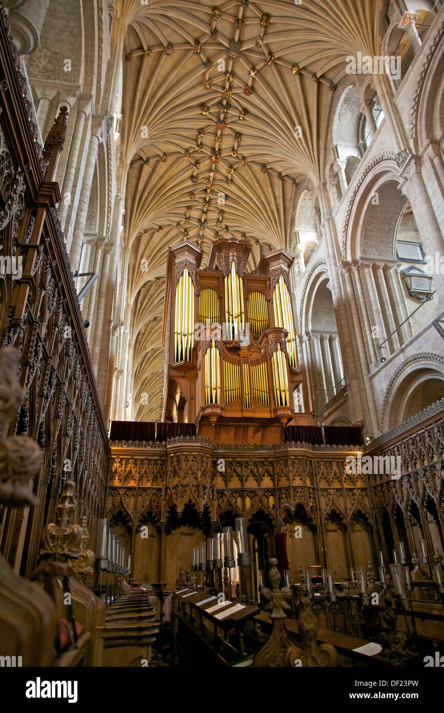 Norwich Cathedral interno Foto Stock