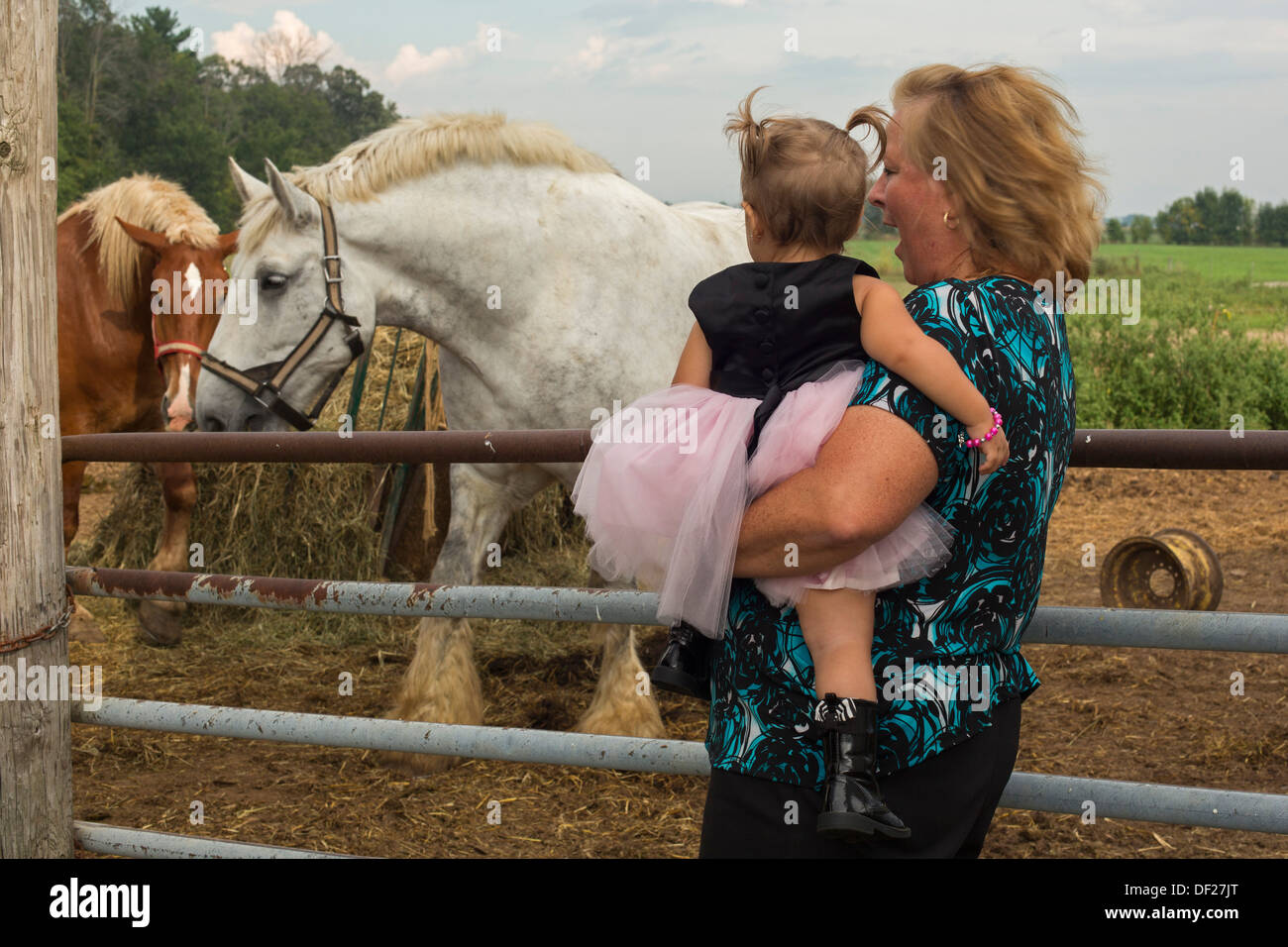 Frankenmuth, Michigan - Visitatori guarda i cavalli a nonno Tiny's Farm, un gruppo di lavoro di storica azienda agricola e di attrazione turistica. Foto Stock