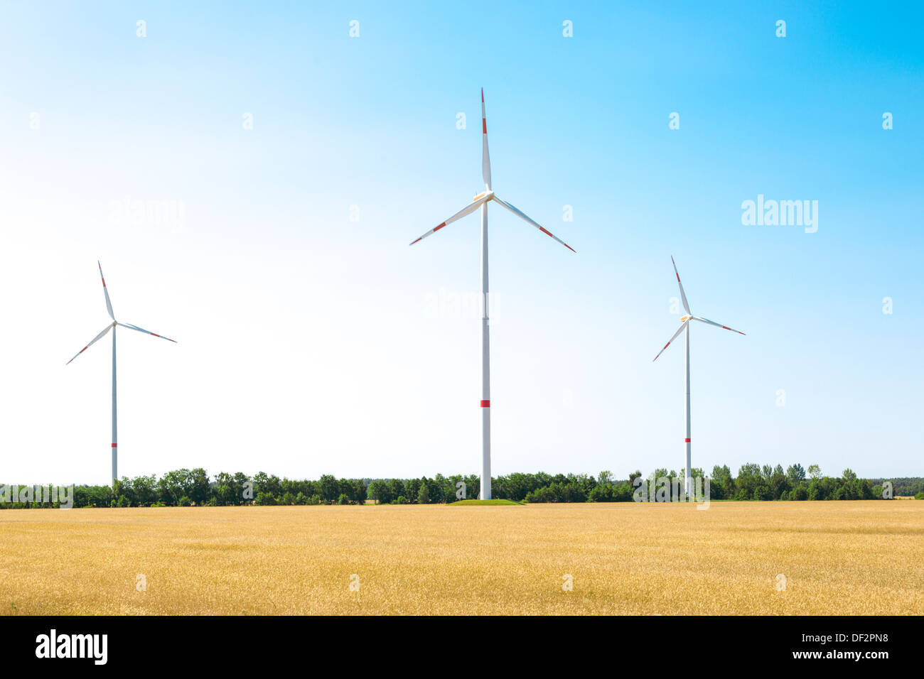 Le turbine eoliche con un campo di grano in primo piano Foto Stock