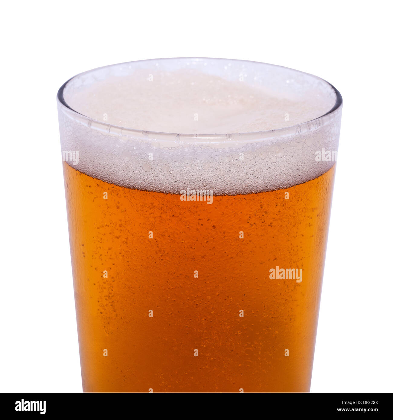Una pinta di birra lager su sfondo bianco Foto Stock