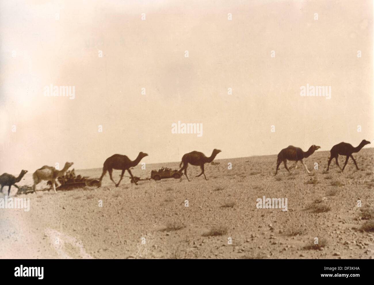 Cannoni anticarro della seconda guerra mondiale immagini e fotografie