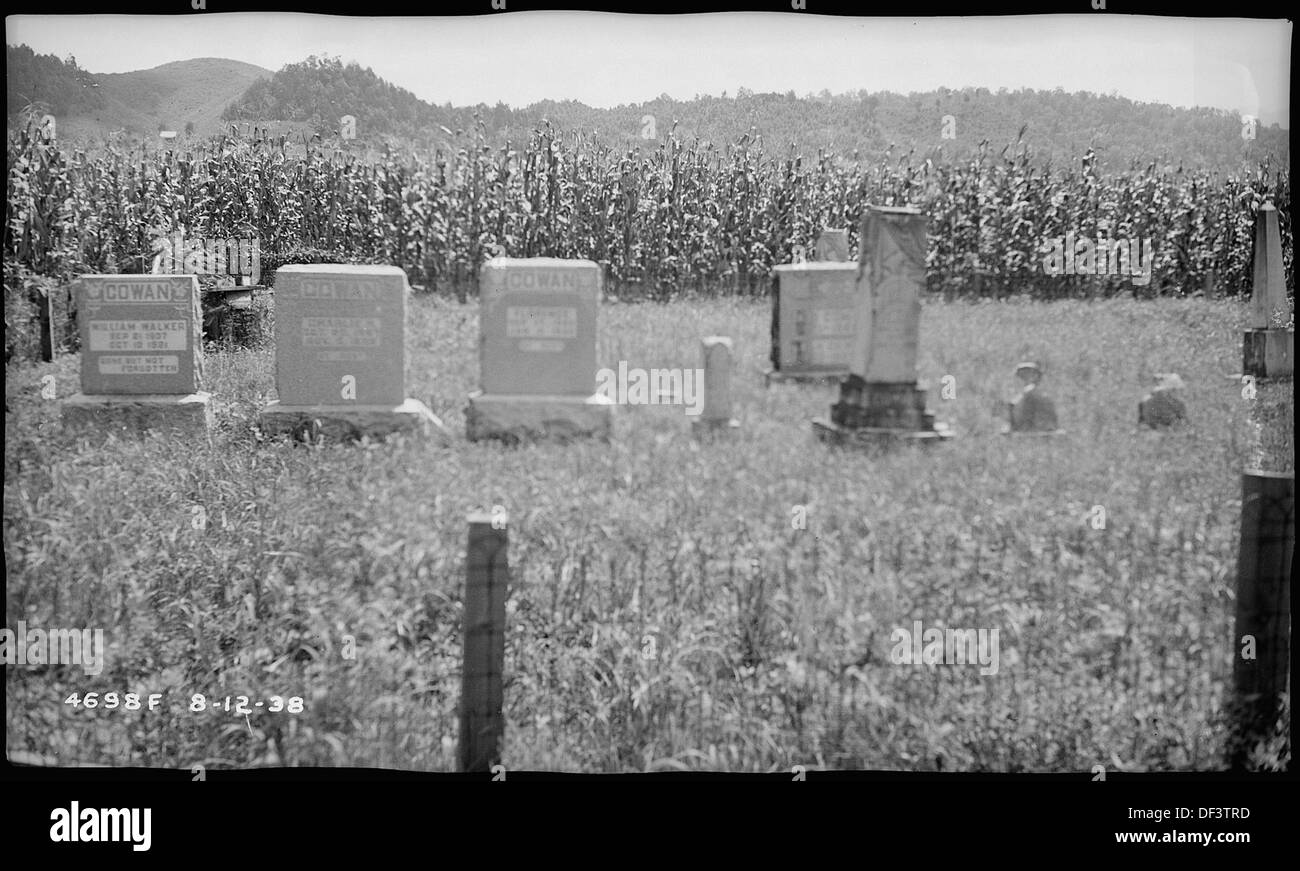 Il Cowan Cemetery, situato sulla terra di Swann lungo il French Broad River, è un importante sito storico. Offre informazioni sui primi coloni della regione e sulle loro pratiche di sepoltura. Foto Stock